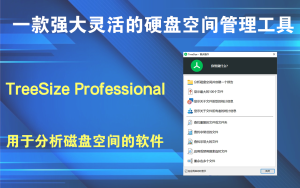TreeSize Professional v9.5.1.2105一款強大靈活的硬盤空間管理工具電腦DIY圈-電腦DIY,一個分享電腦DIY硬件,電腦軟件,軟件素材資源,各類教程的博客-鑫嶼翔網絡電腦DIY圈